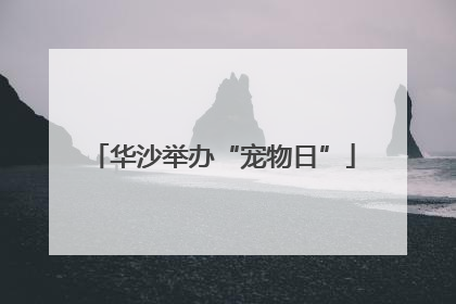 华沙举办“宠物日”