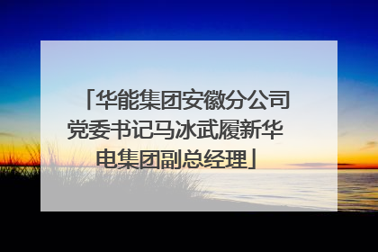 华能集团安徽分公司党委书记马冰武履新华电集团副总经理