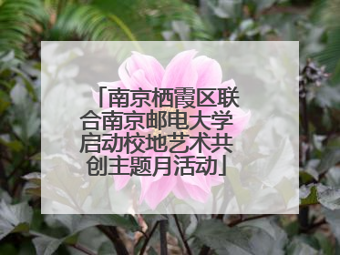 南京栖霞区联合南京邮电大学启动校地艺术共创主题月活动