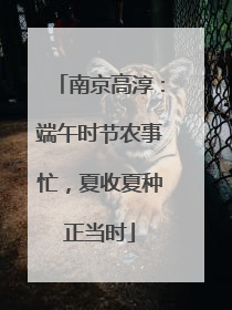 南京高淳：端午时节农事忙，夏收夏种正当时