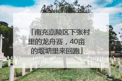 南充嘉陵区下张村里的龙舟赛，40亩的堰塘里来回跑