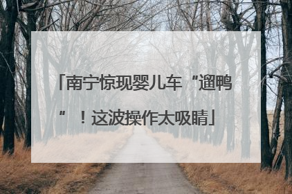 南宁惊现婴儿车“遛鸭”！这波操作太吸睛