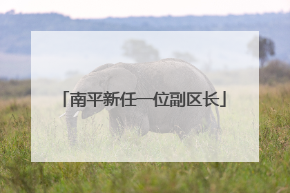 南平新任一位副区长