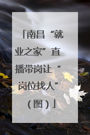 南昌“就业之家”直播带岗让“岗位找人”（图）