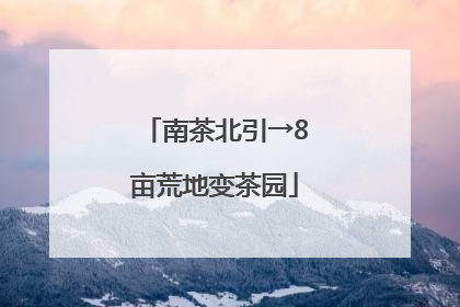 南茶北引→8亩荒地变茶园