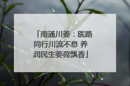 南通川姜：医路同行川流不息 养润民生姜荷飘香