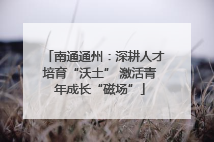 南通通州：深耕人才培育“沃土” 激活青年成长“磁场”