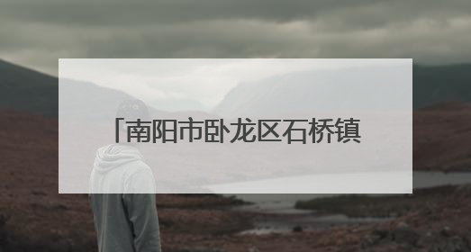 南阳市卧龙区石桥镇：迅速响应强降雨 连夜疏通河道护农田