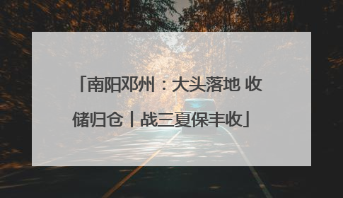 南阳邓州：大头落地 收储归仓丨战三夏保丰收