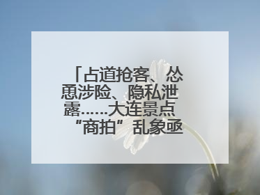 占道抢客、怂恿涉险、隐私泄露……大连景点“商拍”乱象亟待“严管”