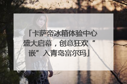 卡萨帝冰箱体验中心盛大启幕，创意狂欢“嵌”入青岛富尔玛