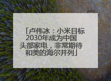卢伟冰：小米目标2030年成为中国头部家电，非常期待和美的海尔并列