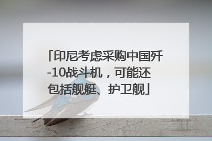 印尼考虑采购中国歼-10战斗机，可能还包括舰艇、护卫舰