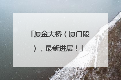厦金大桥（厦门段），最新进展！