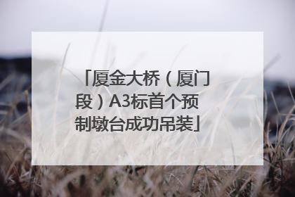 厦金大桥（厦门段）A3标首个预制墩台成功吊装