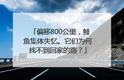 偏移800公里，鲱鱼集体失忆。它们为何找不到回家的路？