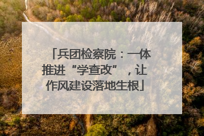 兵团检察院：一体推进“学查改”，让作风建设落地生根