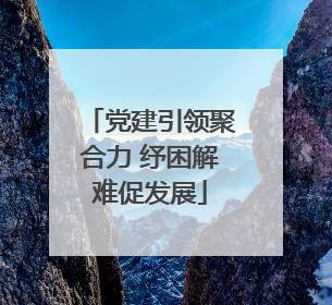 党建引领聚合力 纾困解难促发展