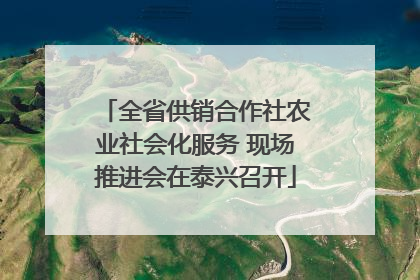 全省供销合作社农业社会化服务 现场推进会在泰兴召开