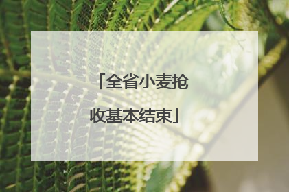 全省小麦抢收基本结束