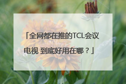 全网都在推的TCL会议电视 到底好用在哪？