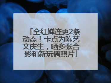 全红婵连更2条动态！卡点为陈艺文庆生，晒多张合影和新玩偶照片