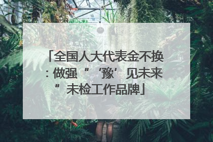 全国人大代表金不换：做强“‘豫’见未来”未检工作品牌