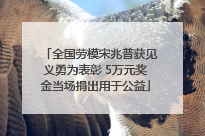 全国劳模宋兆普获见义勇为表彰 5万元奖金当场捐出用于公益