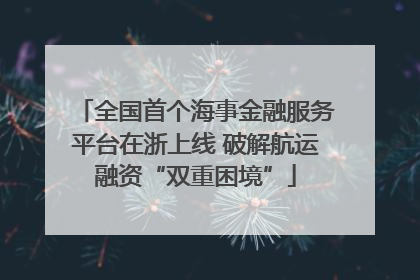 全国首个海事金融服务平台在浙上线 破解航运融资“双重困境”