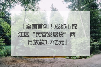 全国首创！成都市锦江区“民营发展贷”两月放款1.7亿元