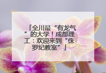 全川最“有龙气”的大学！成都理工：欢迎来到“侏罗纪教室”