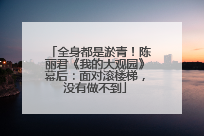全身都是淤青！陈丽君《我的大观园》幕后：面对滚楼梯，没有做不到