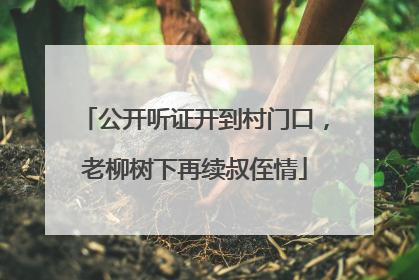 公开听证开到村门口，老柳树下再续叔侄情
