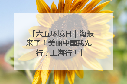六五环境日｜海报来了！美丽中国我先行，上海行！