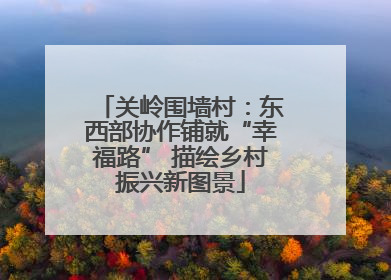 关岭围墙村：东西部协作铺就“幸福路” 描绘乡村振兴新图景