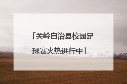 关岭自治县校园足球赛火热进行中