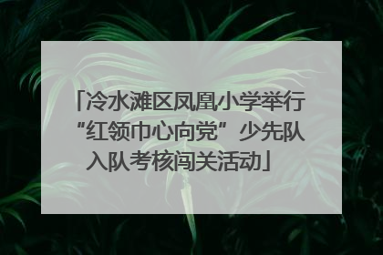 冷水滩区凤凰小学举行“红领巾心向党”少先队入队考核闯关活动