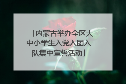 内蒙古举办全区大中小学生入党入团入队集中宣誓活动