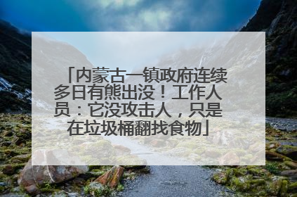 内蒙古一镇政府连续多日有熊出没！工作人员：它没攻击人，只是在垃圾桶翻找食物