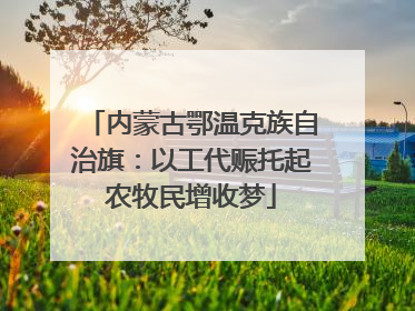 内蒙古鄂温克族自治旗：以工代赈托起农牧民增收梦