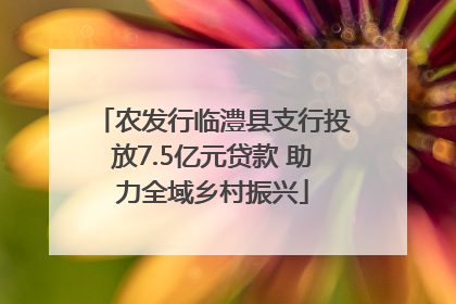 农发行临澧县支行投放7.5亿元贷款 助力全域乡村振兴