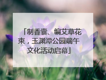 制香囊、编艾草花束，玉渊潭公园端午文化活动启幕