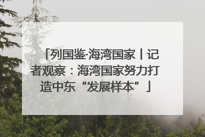 列国鉴·海湾国家丨记者观察：海湾国家努力打造中东“发展样本”