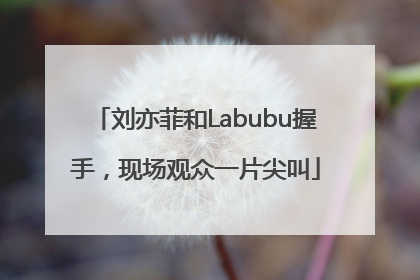 刘亦菲和Labubu握手，现场观众一片尖叫