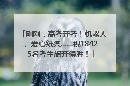 刚刚，高考开考！机器人、爱心纸条……祝18425名考生旗开得胜！