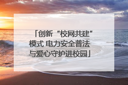 创新“校网共建”模式 电力安全普法与爱心守护进校园