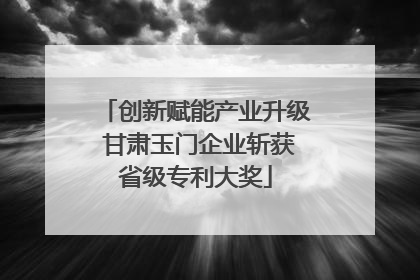 创新赋能产业升级 甘肃玉门企业斩获省级专利大奖