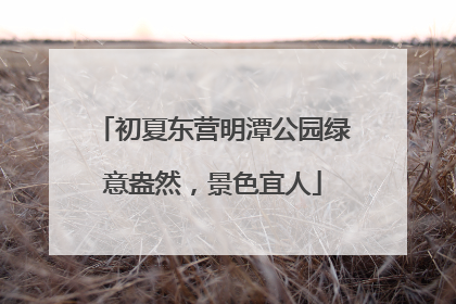 初夏东营明潭公园绿意盎然，景色宜人