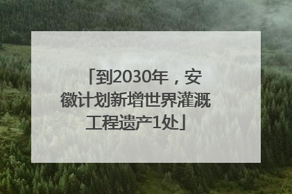 到2030年，安徽计划新增世界灌溉工程遗产1处