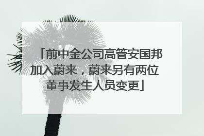 前中金公司高管安国邦加入蔚来，蔚来另有两位董事发生人员变更